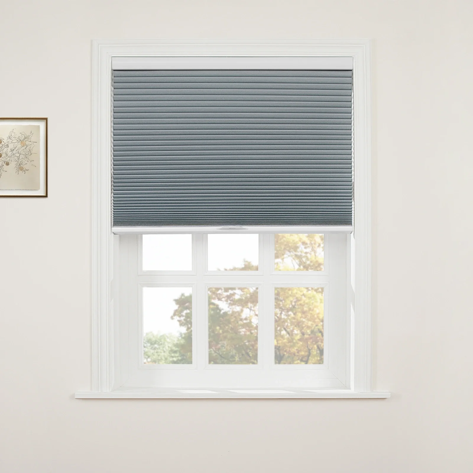 Aura Blackout Cellular Window Shades Cordless - Image 36