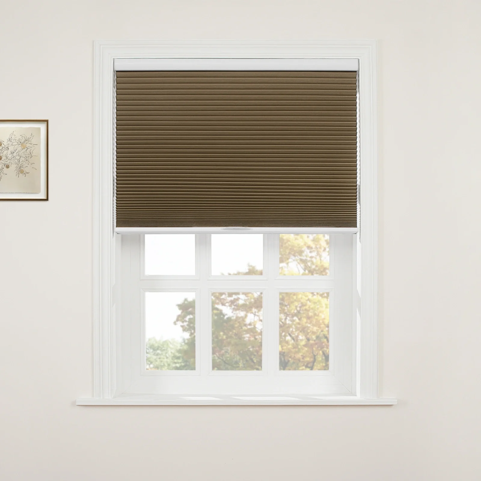 Aura Blackout Cellular Window Shades Cordless - Image 63