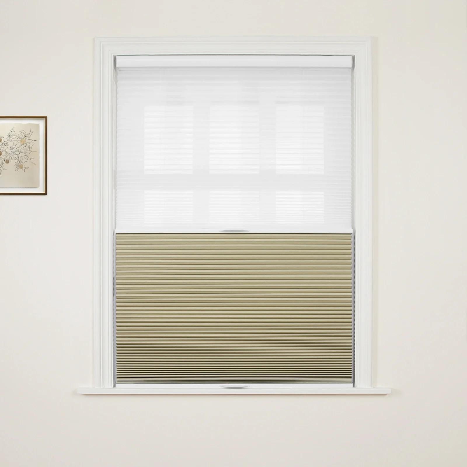Aura Day Night Blackout Cellular Shades Cordless - Image 34