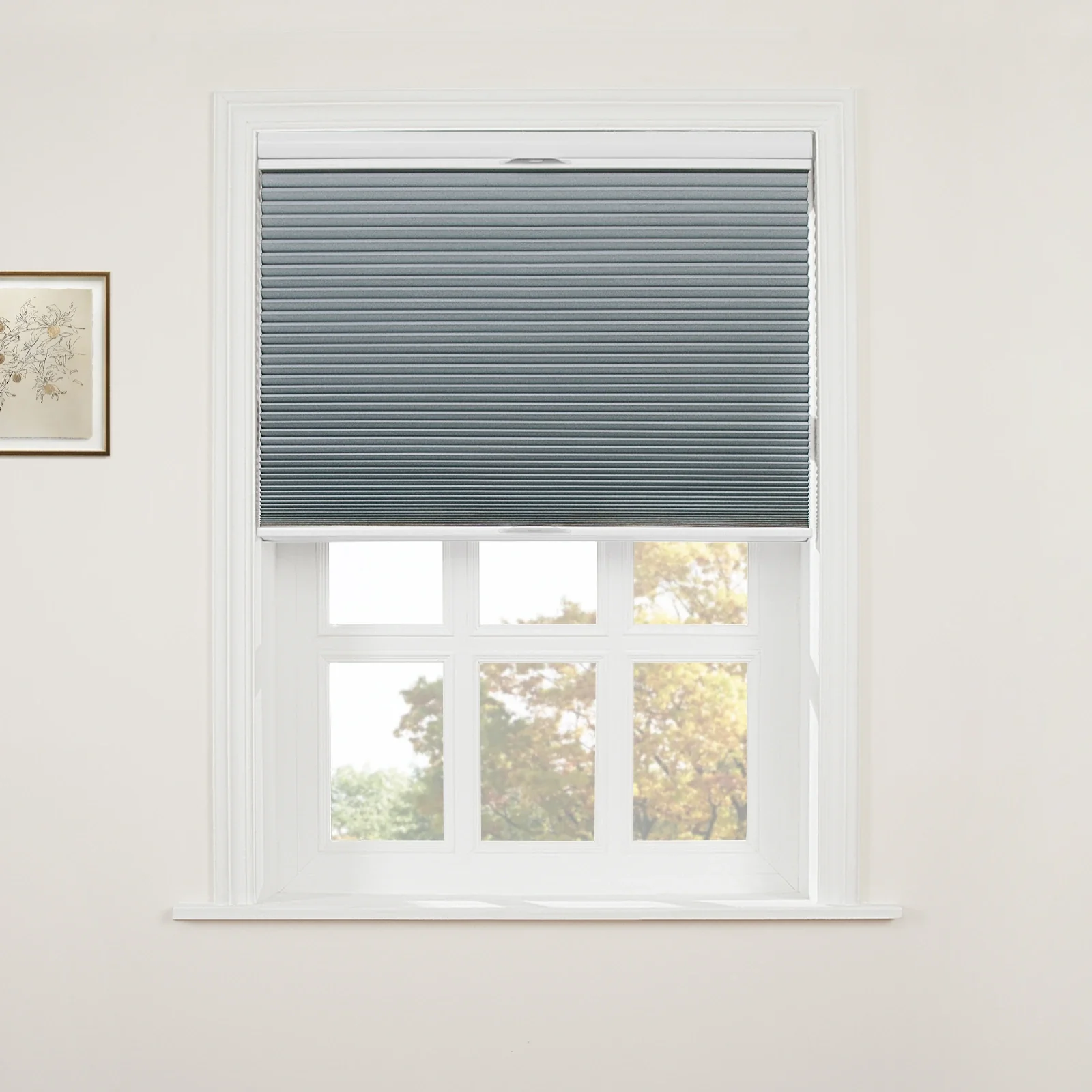 Aura Top Down Bottom Up Blackout Cellular Window Shades Cordless - Image 27