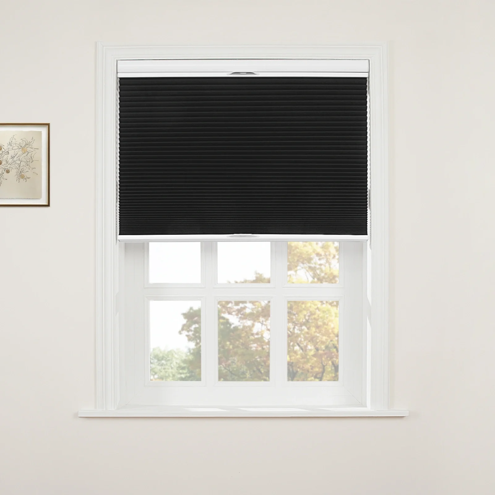 Aura Top Down Bottom Up Blackout Cellular Window Shades Cordless - Image 34