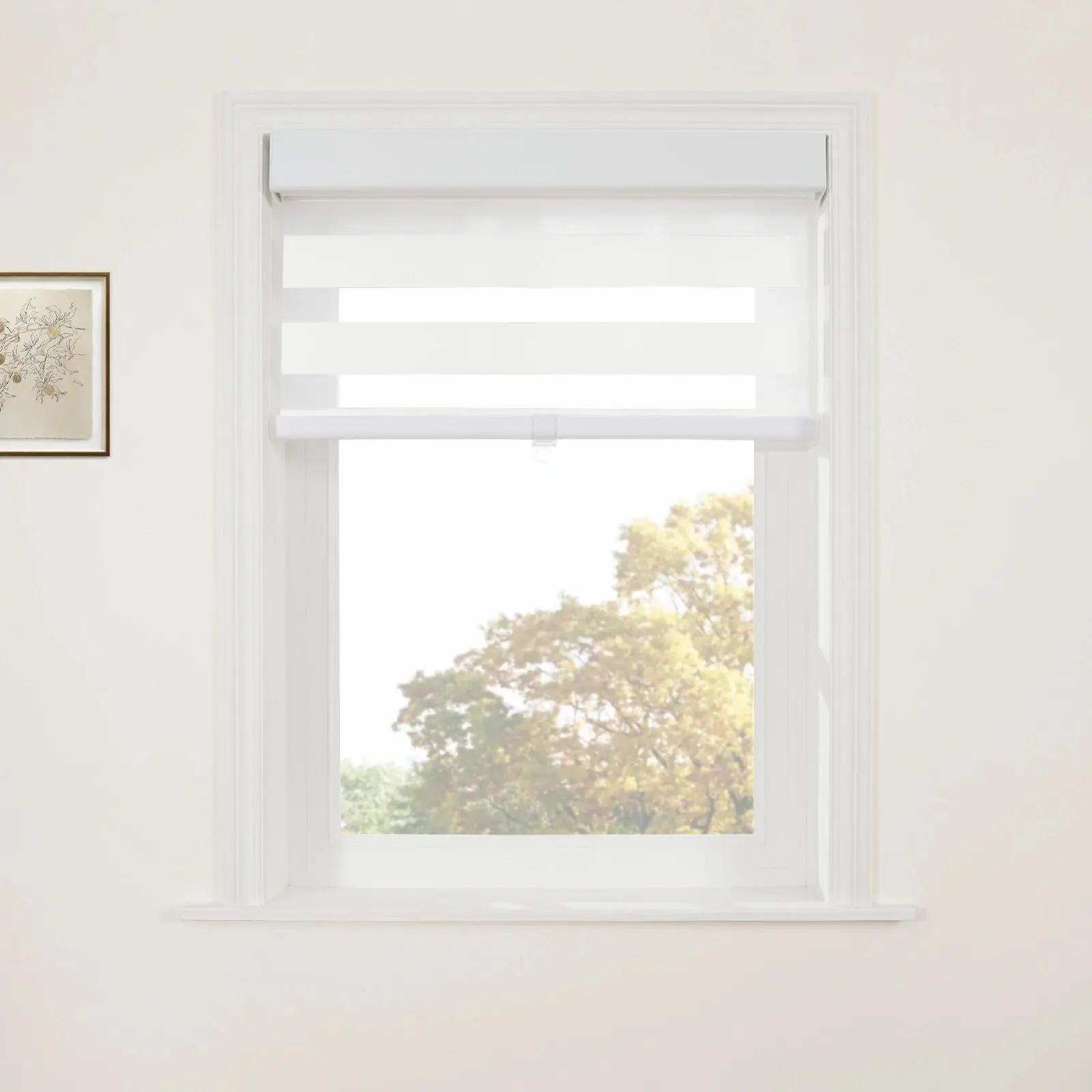Brio Blackout Zebra Shade Cordless - Image 8