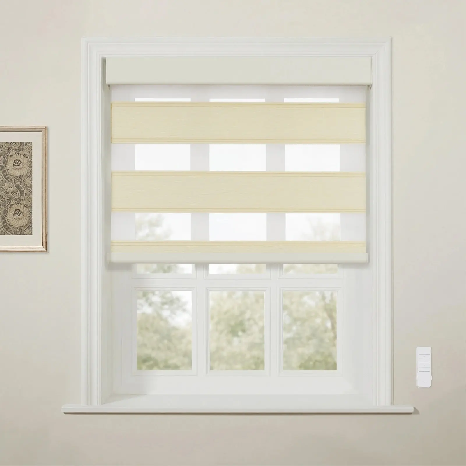 Brio Motorized Blackout Zebra Shade Cordless - Image 39
