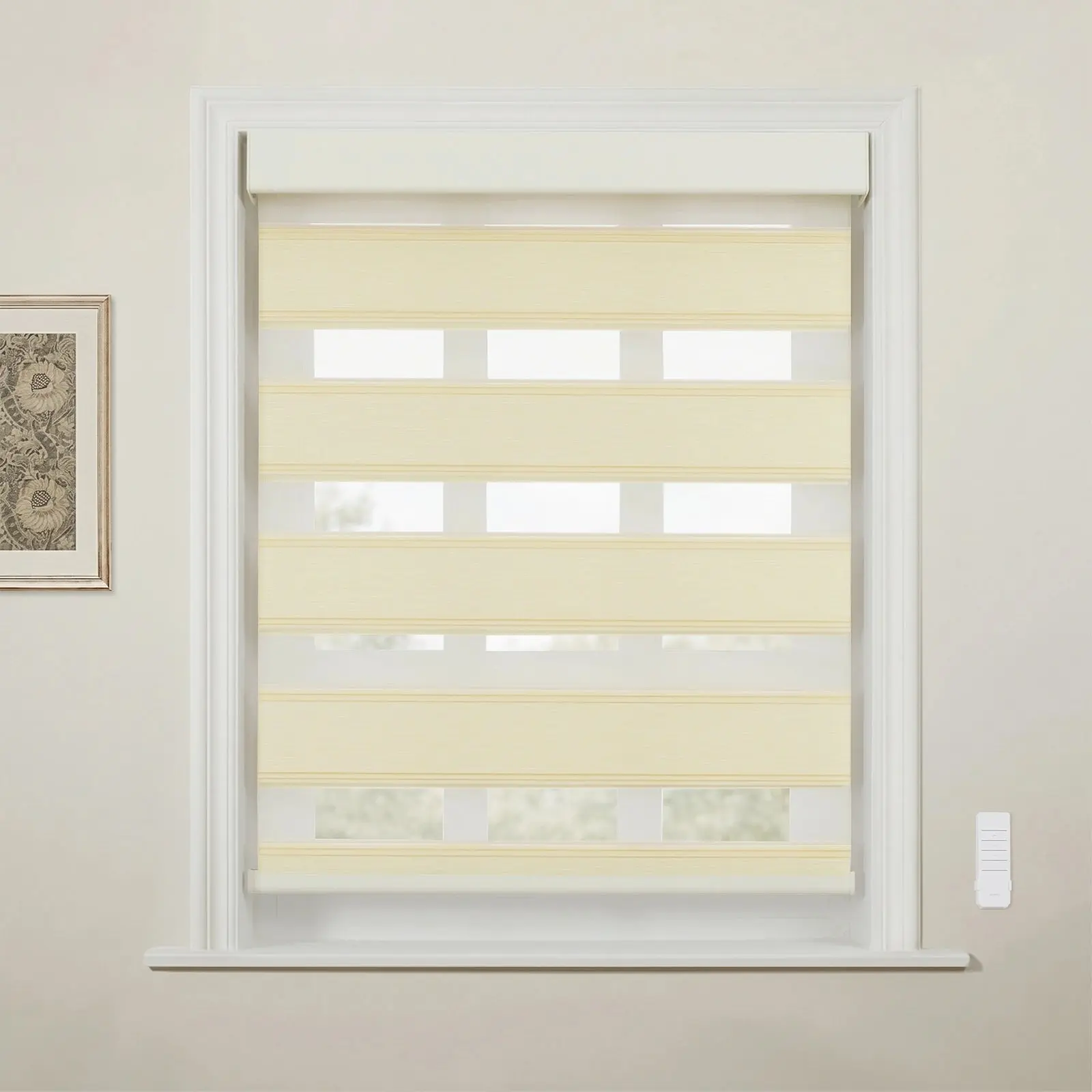 Brio Motorized Blackout Zebra Shade Cordless - Image 40