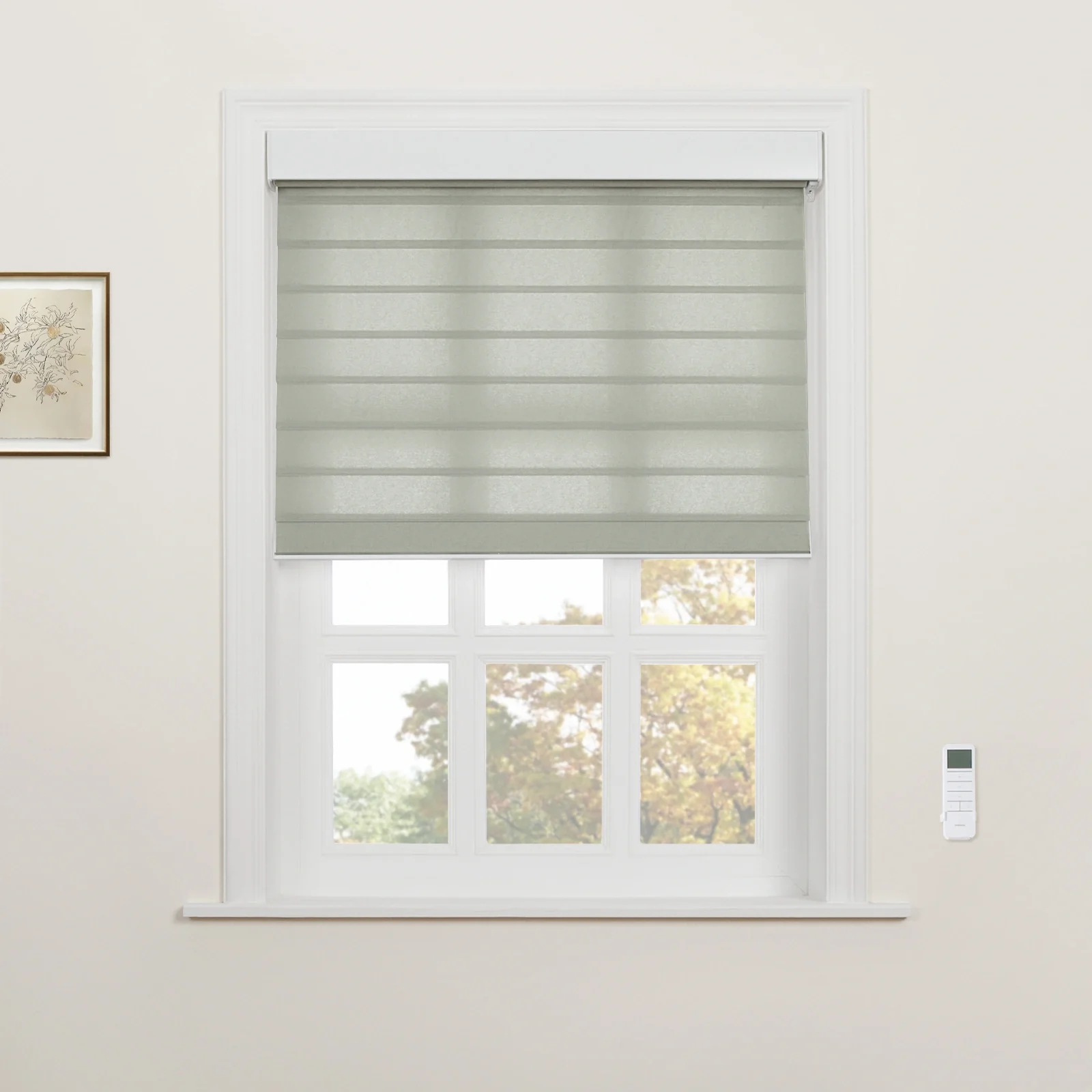 Motorized Shangri-La Light Filtering Sheer Shade - Image 10