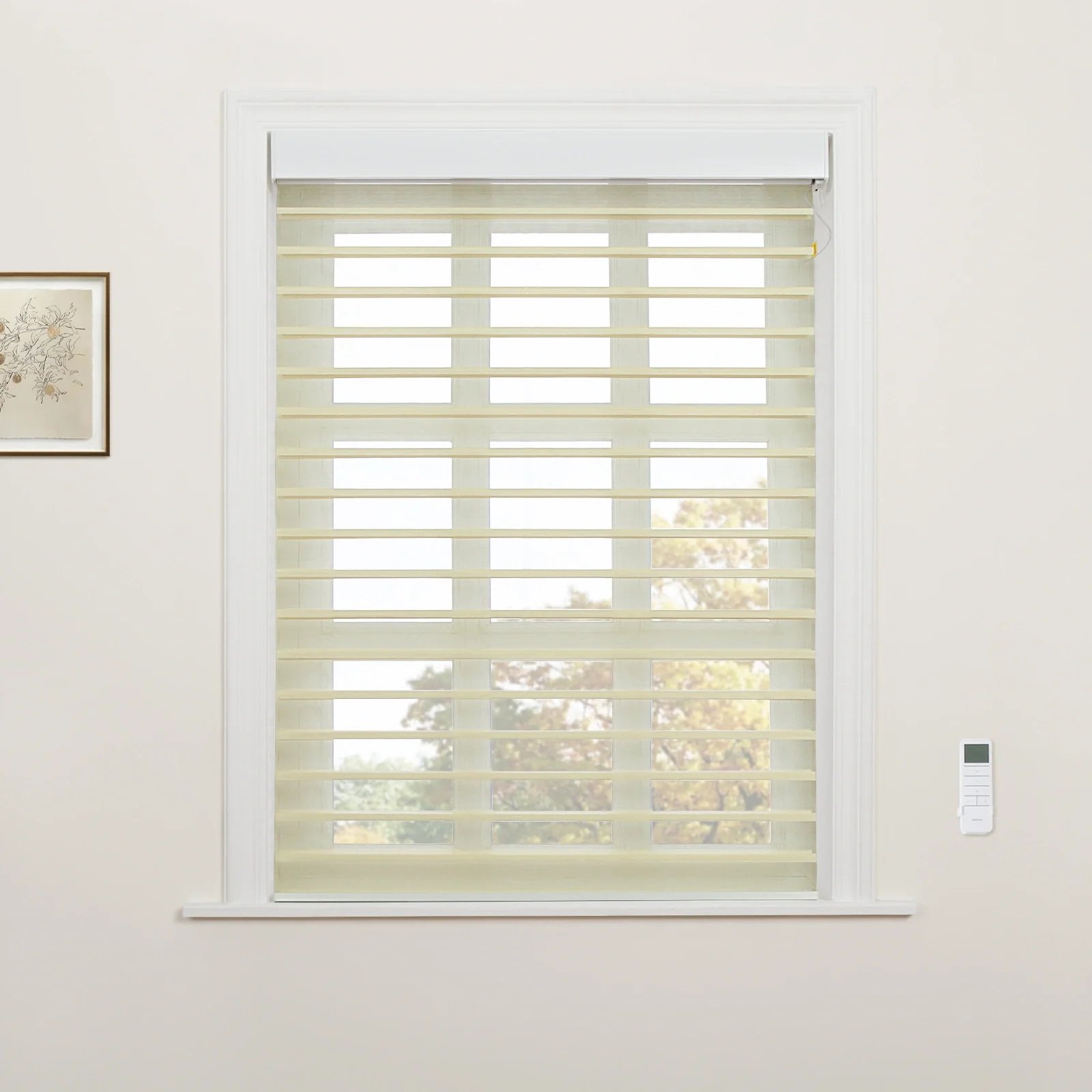 Motorized Shangri-La Light Filtering Sheer Shade - Image 47