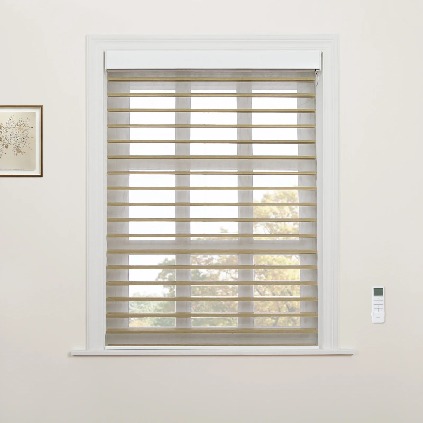 Motorized Shangri-La Light Filtering Sheer Shade - Image 54