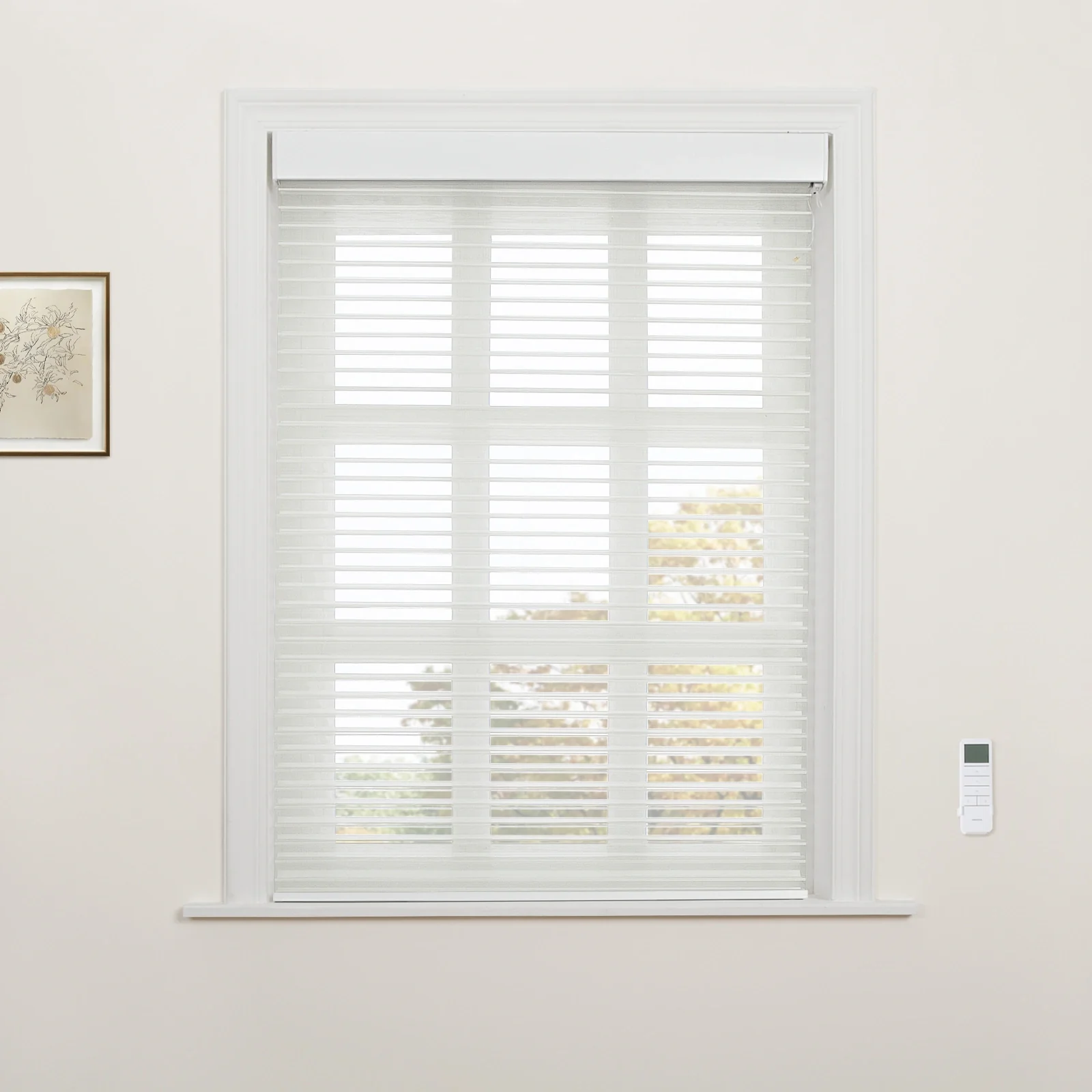 Motorized Shangri-La Light Filtering Sheer Shade - Image 61