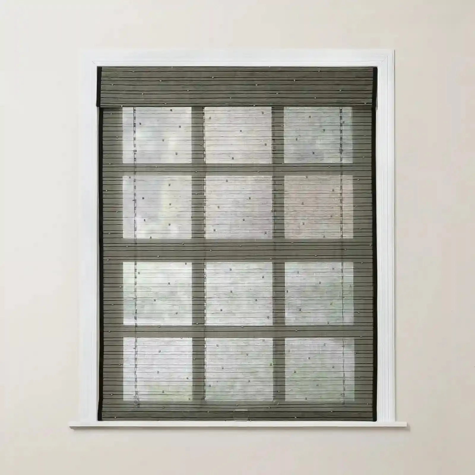 Rae Motorized Window Shades Bamboo Woven - Series P - Image 99