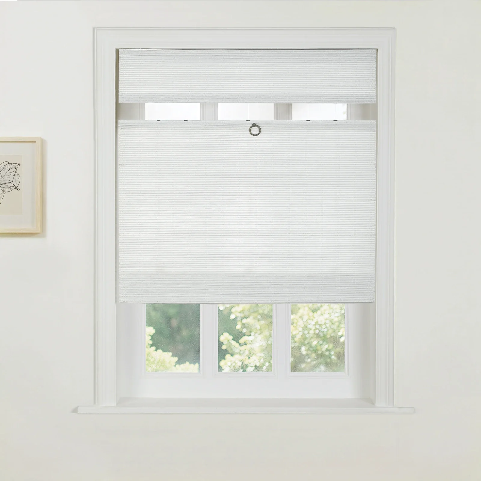 Rae Top Down Bottom Up Woven Wood Shade Cordless - Series W - Image 141